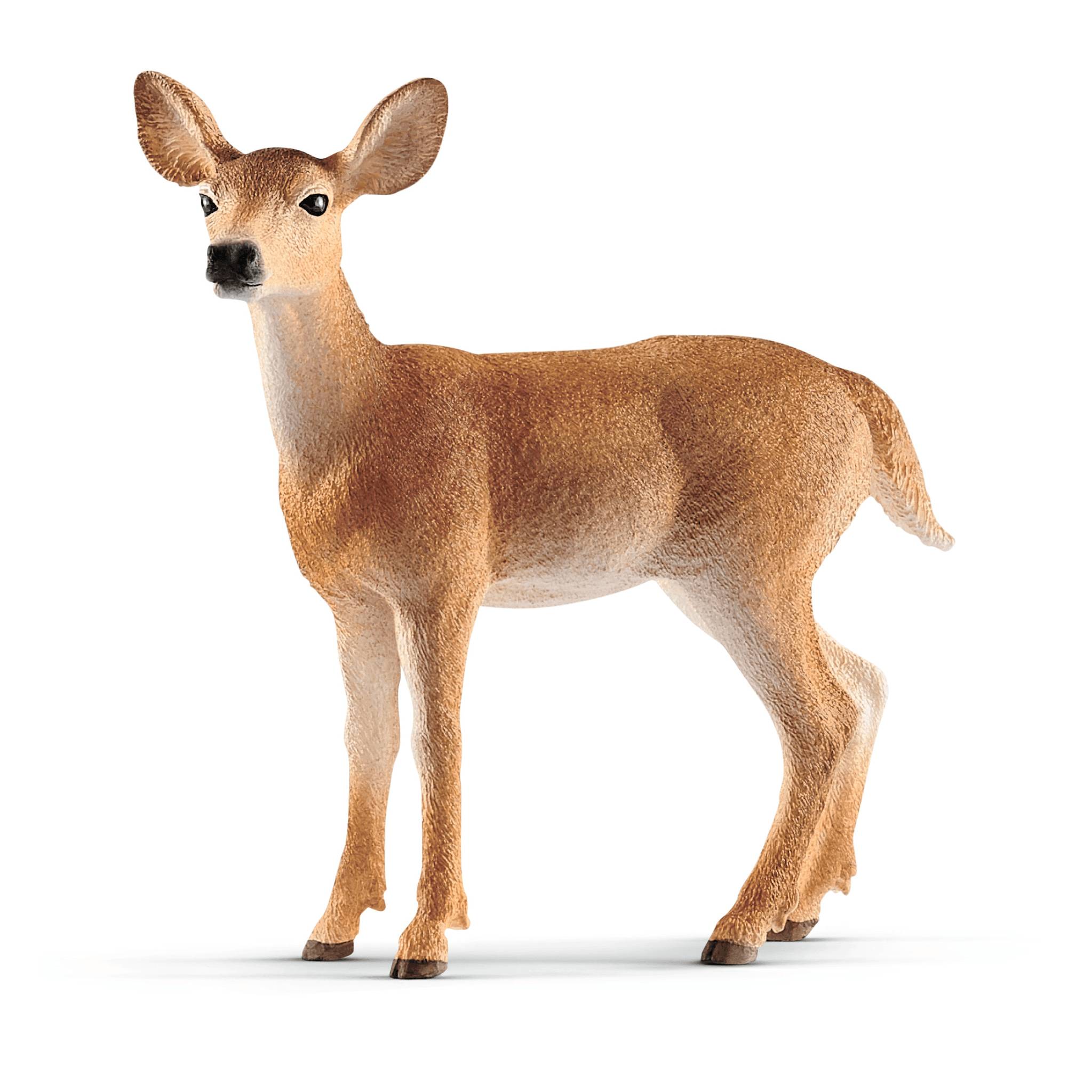 Schleich - Figurine Biche De Virginie L.9 x l.13 x H.11,5 cm