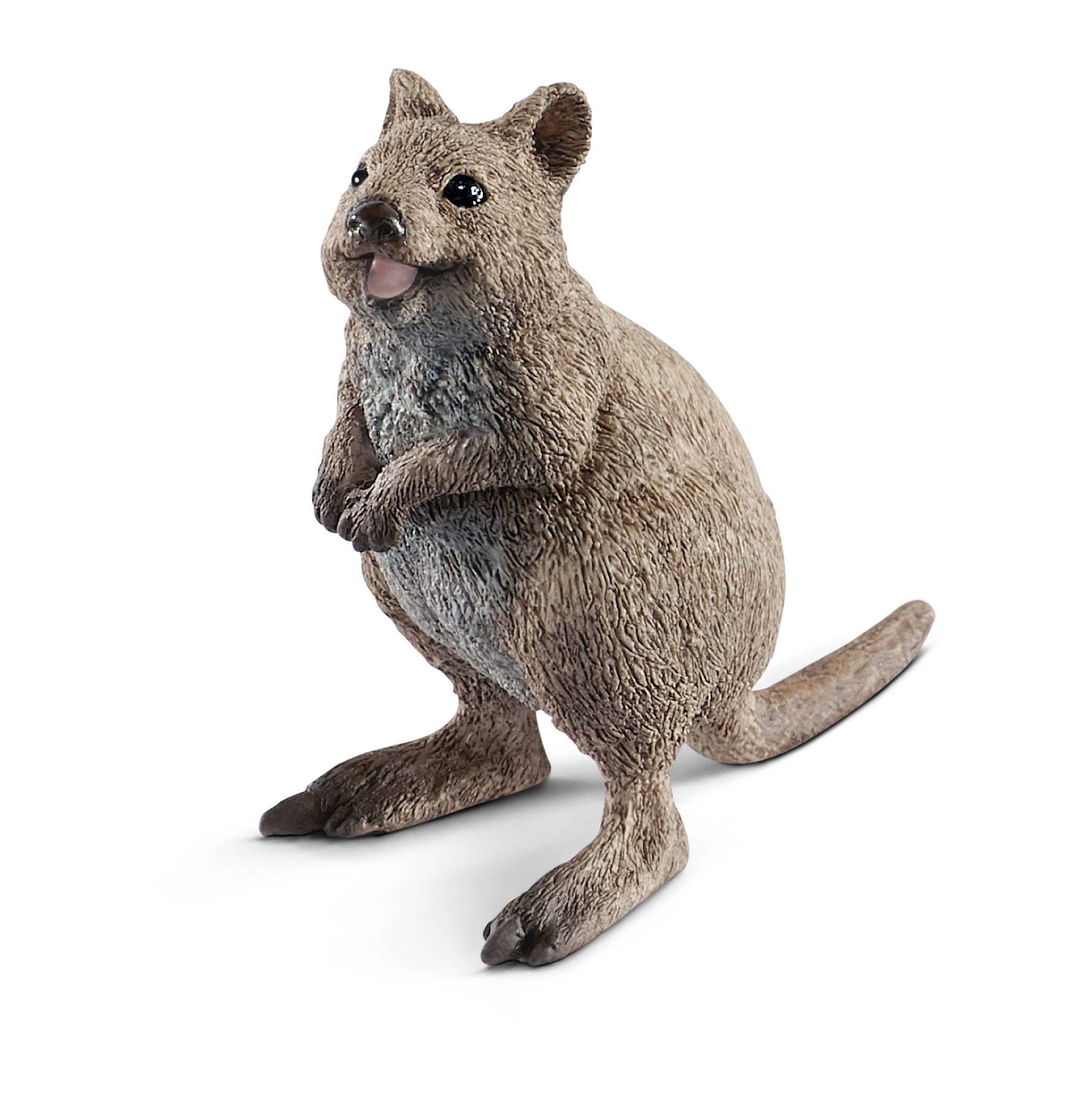 Schleich - Figurine Quokka L.4 x l.8 x H.23 cm