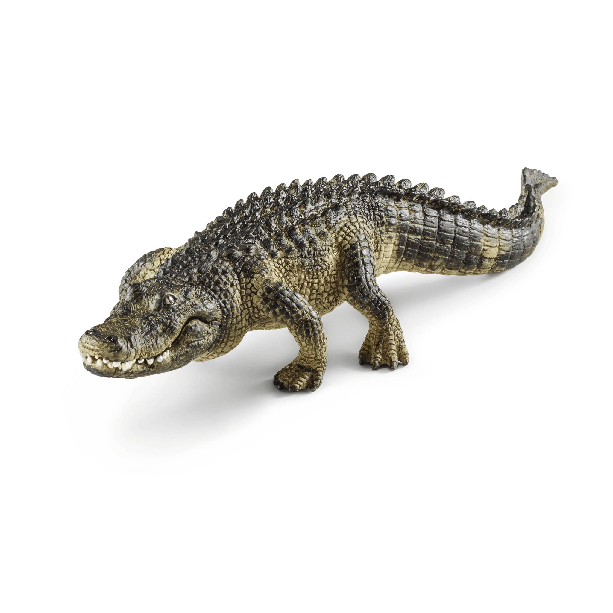Schleich - Figurine Alligator L.21 x l.14 x H.6,5 cm