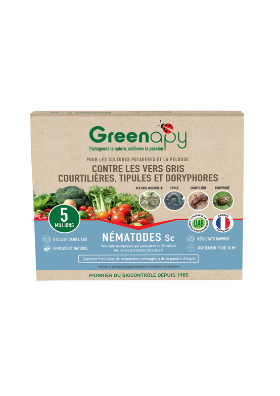 Greenapy - Nématodes Steinernema carpocapsae Anti Vers gris et Doryphores boîte de 5 millions - Greenapy - Image 1