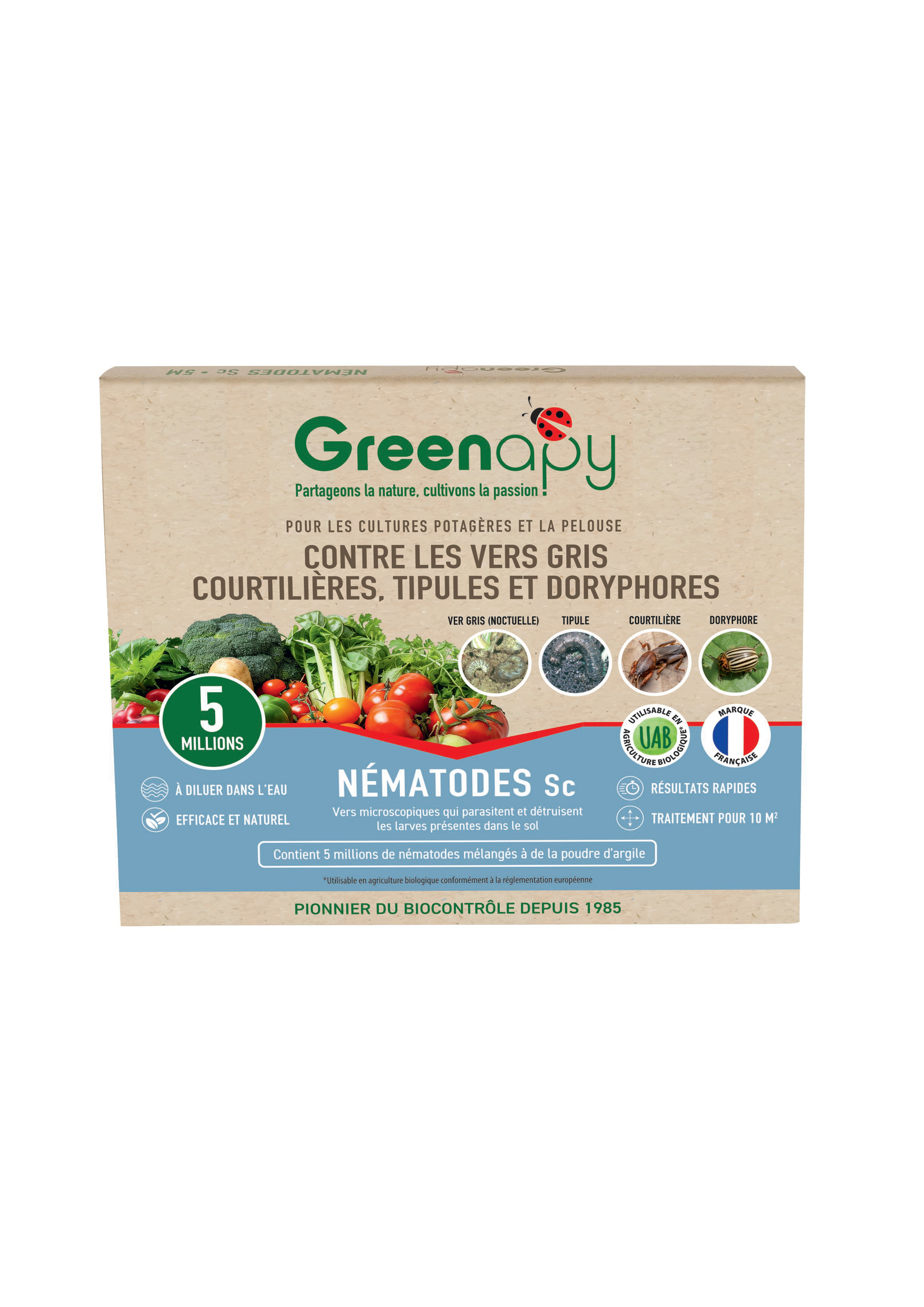 Greenapy - Nématodes Steinernema carpocapsae Anti Vers gris et Doryphores boîte de 5 millions - Greenapy - Image 1