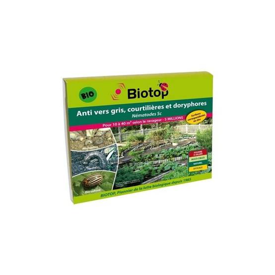 Greenapy - Nématodes Steinernema carpocapsae Anti Vers gris et Doryphores boîte de 5 millions - Greenapy - Image 2