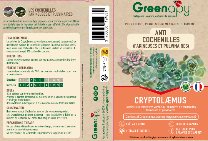Greenapy - Coccinelles Anti-Cochenilles Cryptolaemus montrouzieri boîte de 25 adultes - Greenapy - Image 1