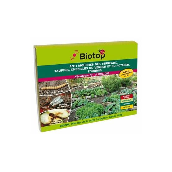 Greenapy - Nématodes Steinernema feltiae anti mouche terreaux taupins chenilles boîte de 5 millions - Greenapy - Image 2
