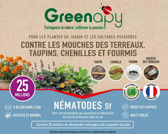 Greenapy - Nématodes Anti-ravageurs Steinernema feltiae boîte de 25 millions - Greenapy - Image 1