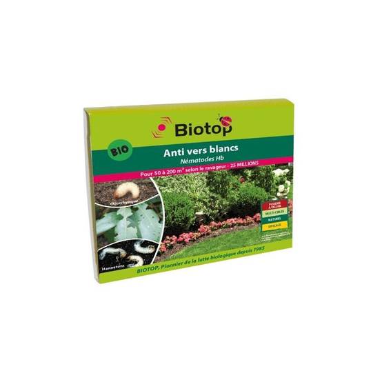 Greenapy - Nématodes anti vers blancs Heterorhabditis bacteriophora boîte de 25 millions - Greenapy - Image 2