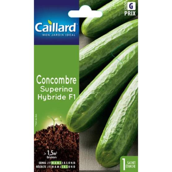 Caillard - Concombre Superina Hybride F1 – Fabriqué en France