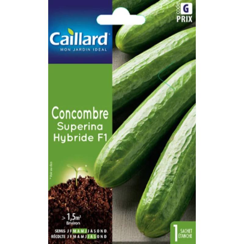 Caillard - Concombre Superina Hybride F1 – Fabriqué en France