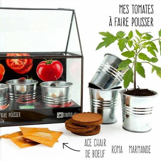 Radis et Capucine - Radis et Capucine - Châssis métal tomates bio à semer