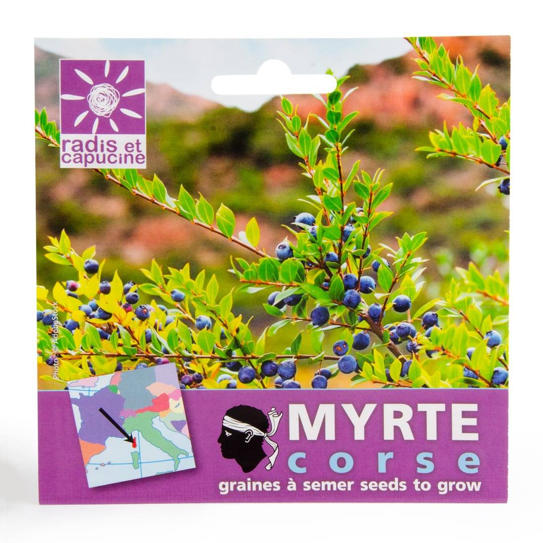 Sachet Graines Myrte - MYRTHESACHET - Image 1