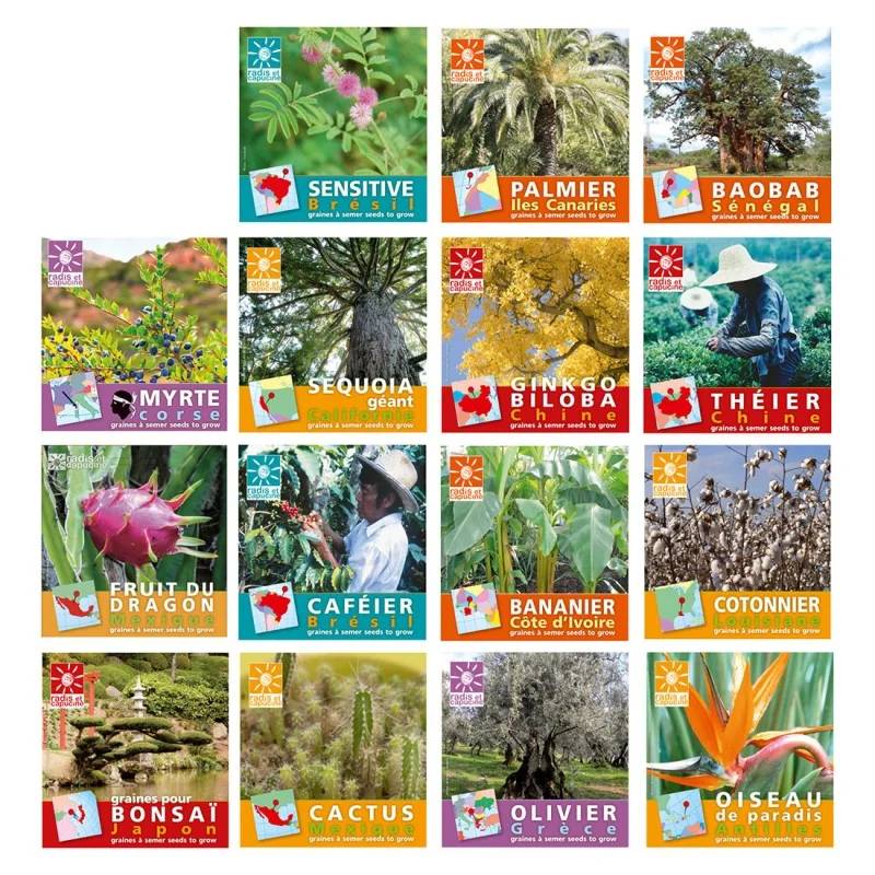 Sachet Graines Myrte - MYRTHESACHET - Image 6