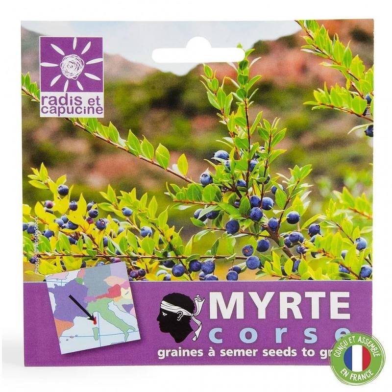 Sachet Graines Myrte - MYRTHESACHET - Image 3