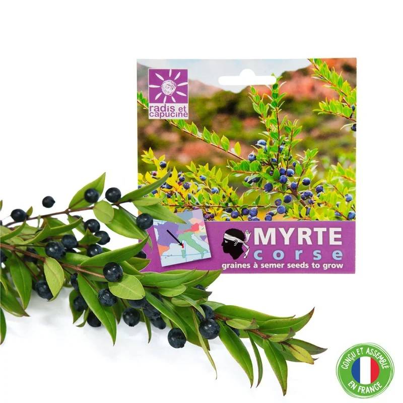 Sachet Graines Myrte - MYRTHESACHET - Image 5