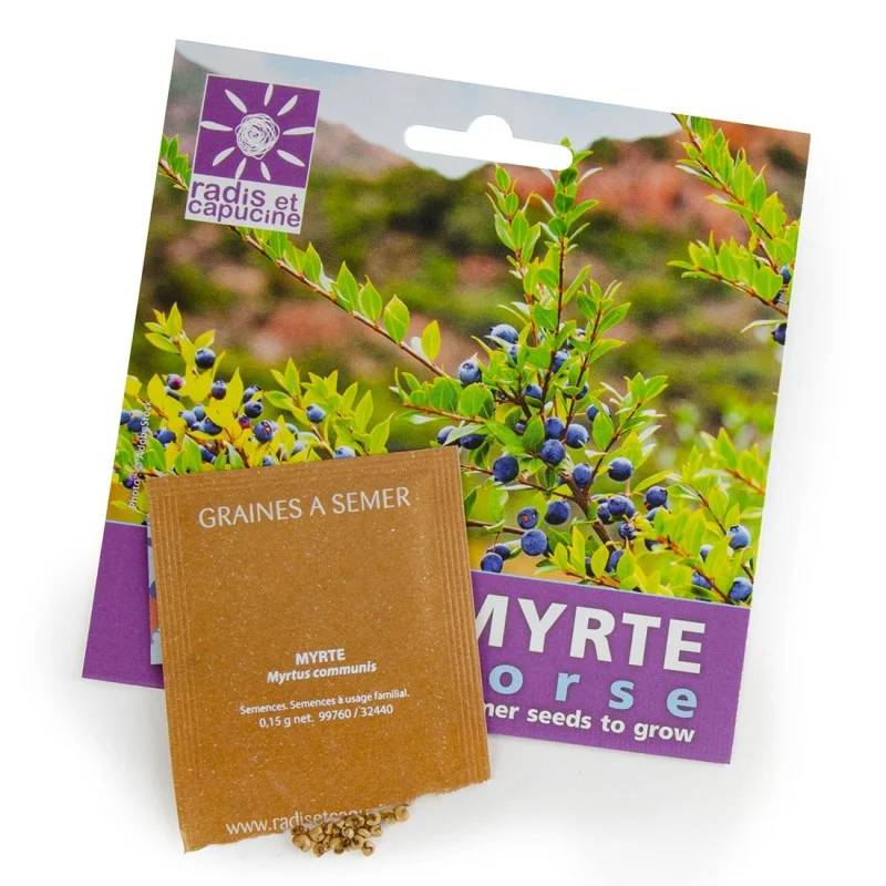 Sachet Graines Myrte - MYRTHESACHET - Image 2