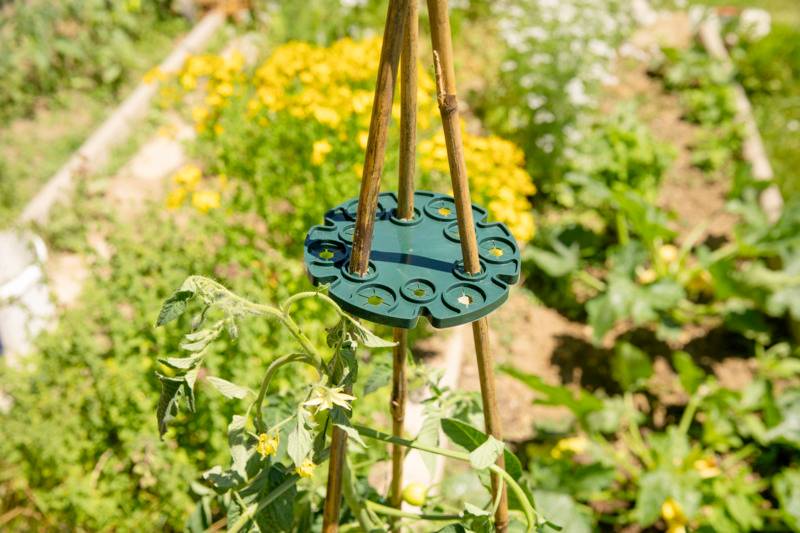 Windhager - Support disque à tuteurs WIGWAM (x2) - L.16,5 x l.15 x H.2 cm - Imagen 1