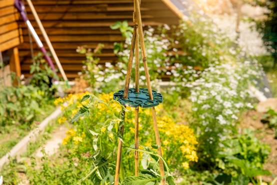 Windhager - Support disque à tuteurs WIGWAM (x2) - L.16,5 x l.15 x H.2 cm - Image 4