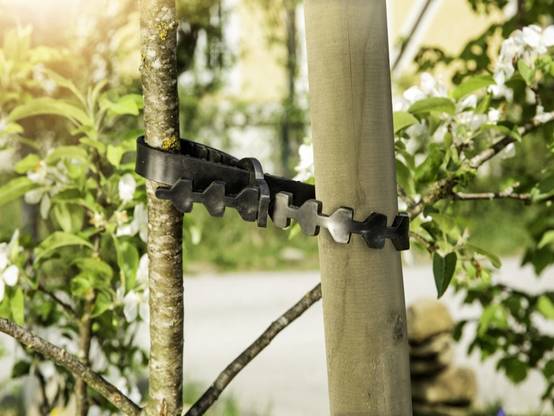 Tuteur pour plantes en bois rond Ø 4x200 cm – WINDHAGER - Image 7