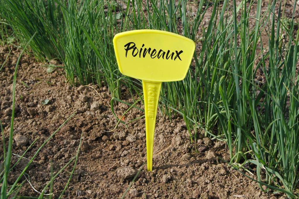 Nortène - LABEL 25 Étiquettes à planter (5) Jaune - Image 2