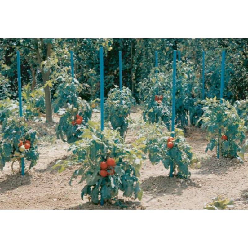 Nortène - AQUATOM Tuteur tomates à réserve d'eau Vert 20x20mmx1,8m - Imagen 1