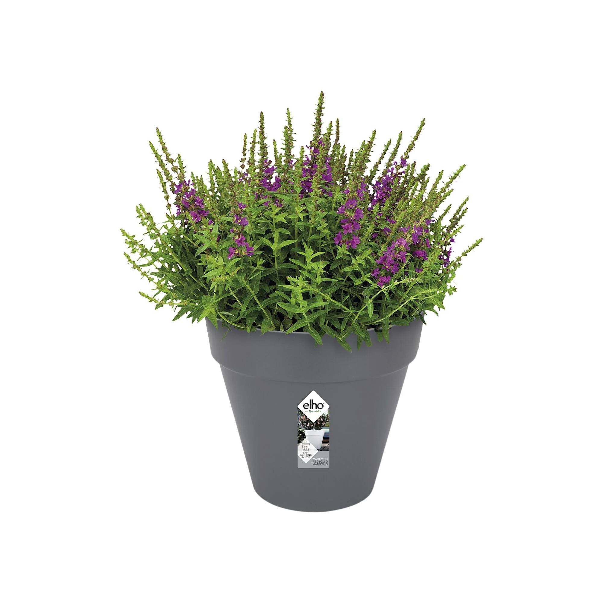Pot de fleurs rond plastique anthracite Ø 30 cm H 26 cm - ELHO - Image 2