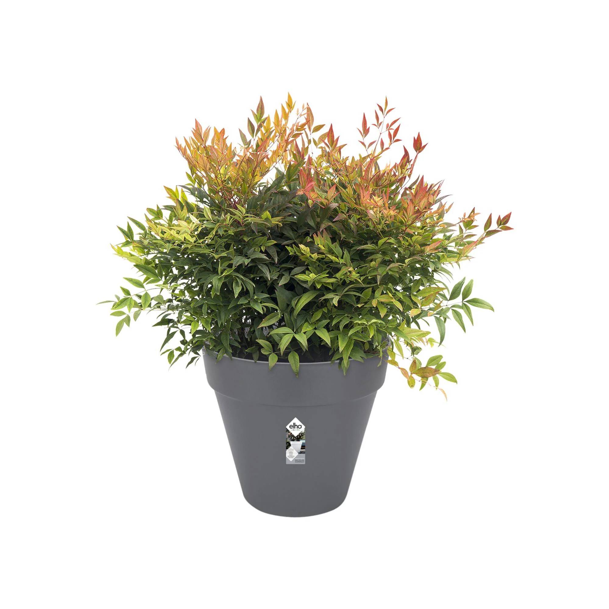 Pot de Fleurs Rond Plastique Anthracite Ø 40 cm H 35 cm - ELHO - Image 6