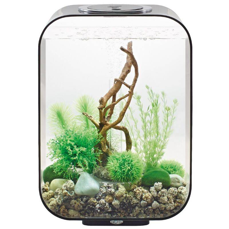 Aquarium Life 15 LED acrylique noir L.29x19,3x40,7 cm - Oase sa
