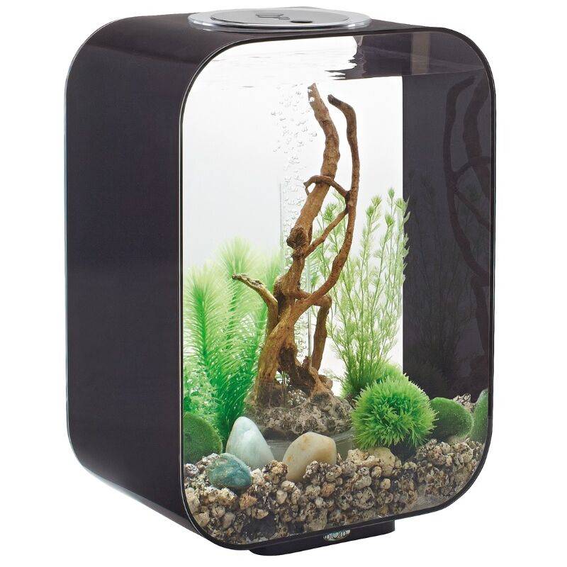 Aquarium Life 15 LED acrylique noir L.29x19,3x40,7 cm - Oase sa - Image 2