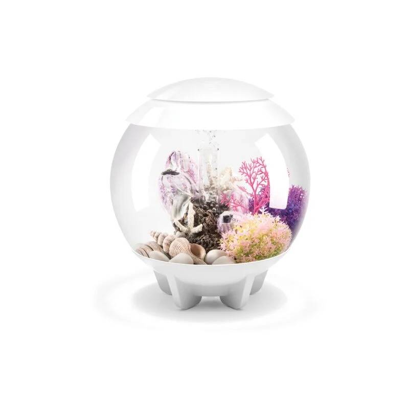 Aquarium décoratif Halo 15 MCR acrylique blanc Ø30 cm H.33 cm - Oase sa - Image 3