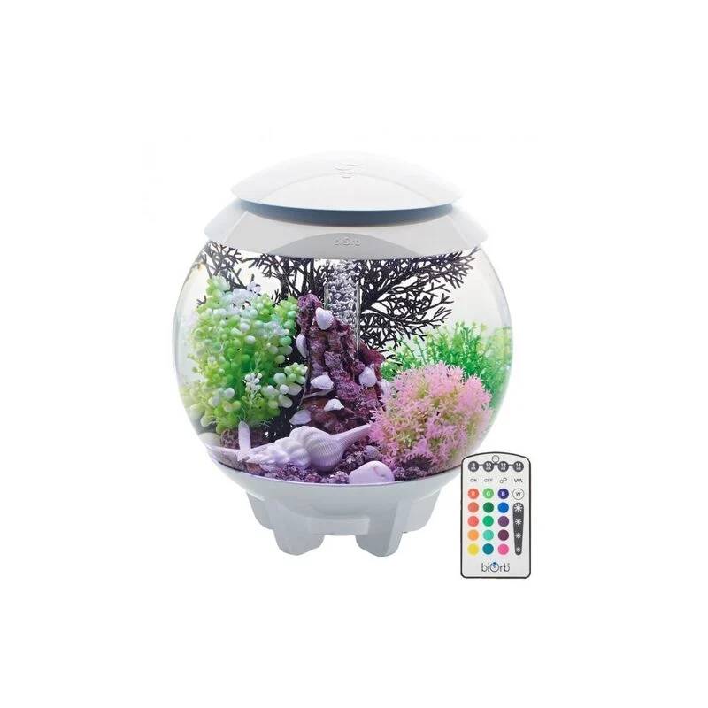 Aquarium décoratif Halo 15 MCR acrylique blanc Ø30 cm H.33 cm - Oase sa - Image 2