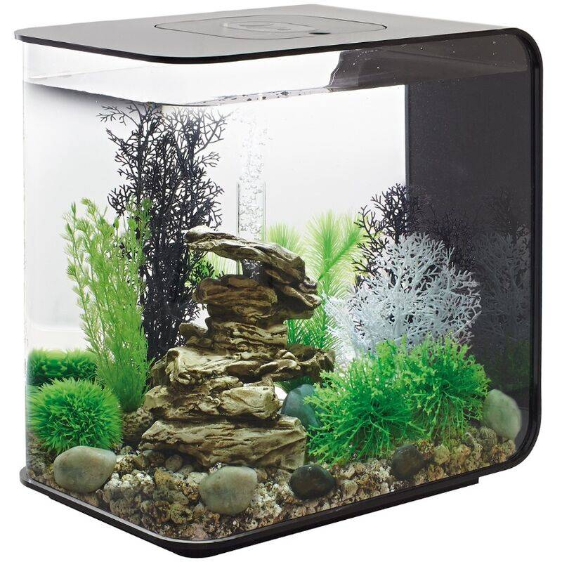 Aquarium décoratif Flow 30 LED acrylique noir L.26 cm l.38 cm H.39 cm - Oase sa - Image 4