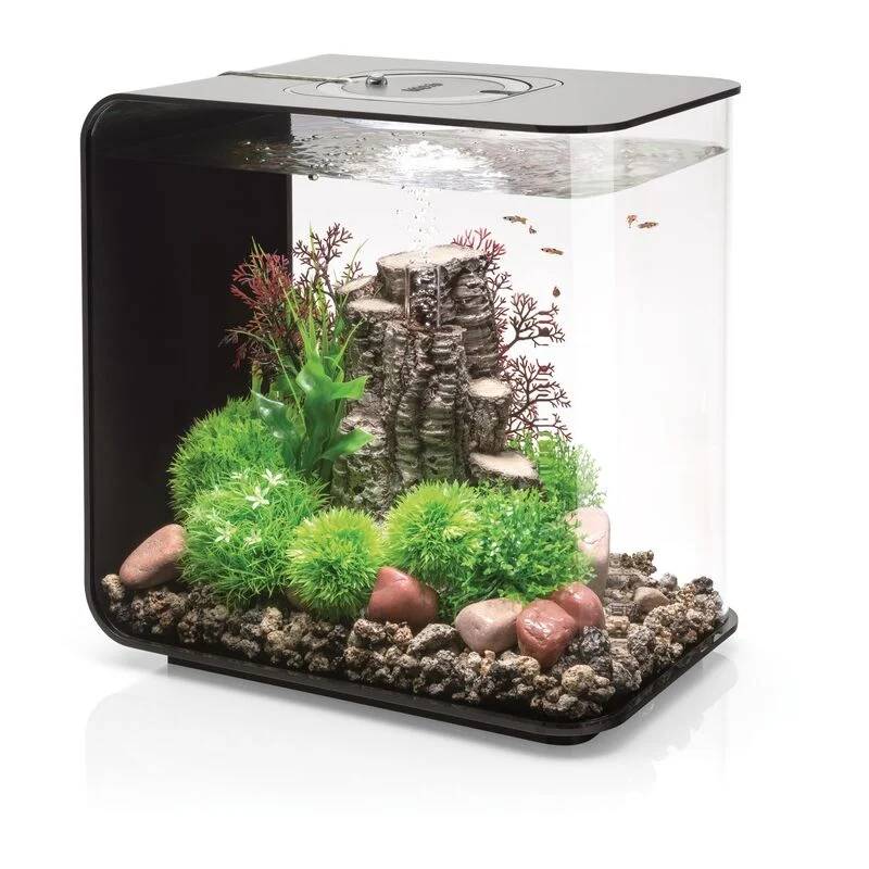 Aquarium décoratif Flow 30 LED acrylique noir L.26 cm l.38 cm H.39 cm - Oase sa - Image 2