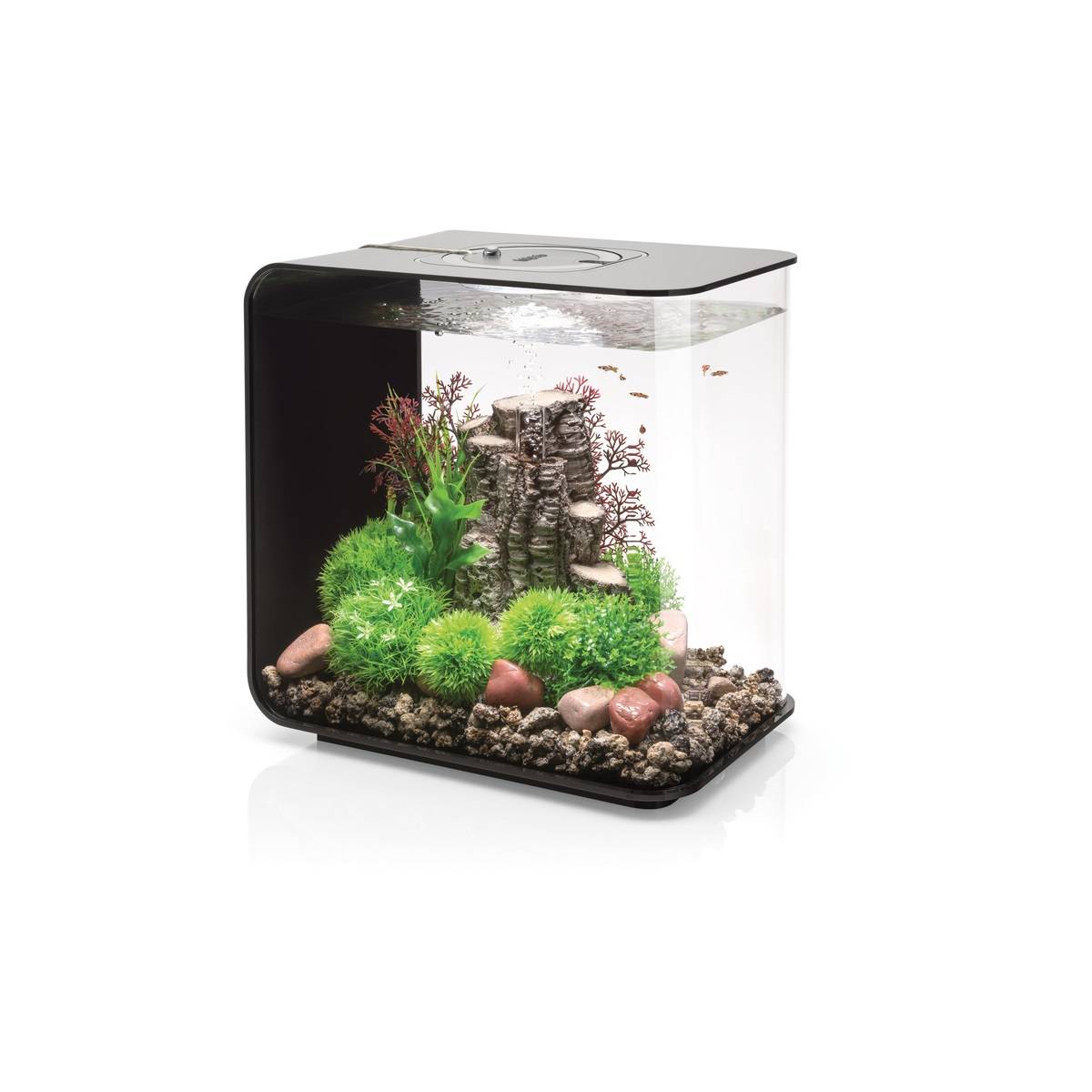Aquarium décoratif Flow 30 LED acrylique noir L.26 cm l.38 cm H.39 cm - Oase sa - Image 8