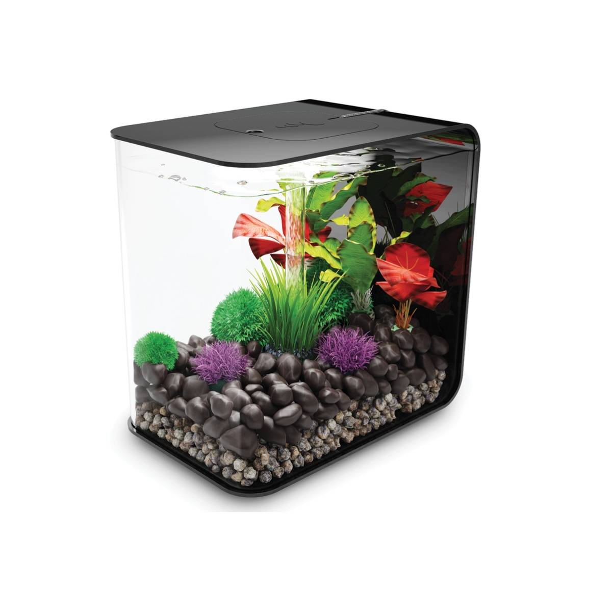 Aquarium décoratif Flow 30 LED acrylique noir L.26 cm l.38 cm H.39 cm - Oase sa - Image 5