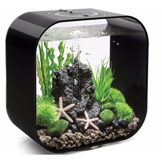 Aquarium Life 30MCR acrylique noir H.42 cm L.23.5 cm P.40 cm - Oase sa - Image 2