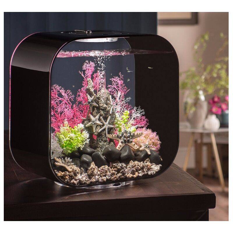 Aquarium Life 30MCR acrylique noir H.42 cm L.23.5 cm P.40 cm - Oase sa - Imagen 1