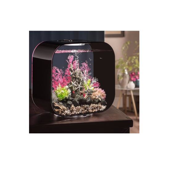 Aquarium Life 30MCR acrylique noir H.42 cm L.23.5 cm P.40 cm - Oase sa - Image 4