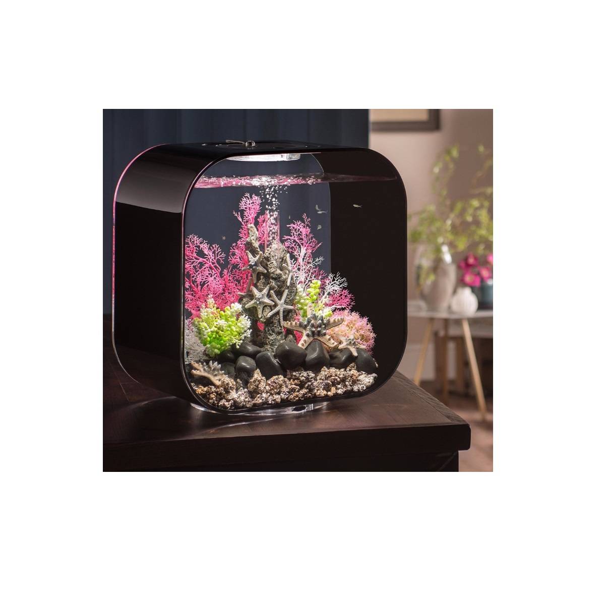 Aquarium Life 30MCR acrylique noir H.42 cm L.23.5 cm P.40 cm - Oase sa - Imagen 4