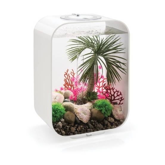 Aquarium intérieur Life 15 LED acrylique blanc L.29x l.19.3x H.40.7 cm - Oase sa - Image 2
