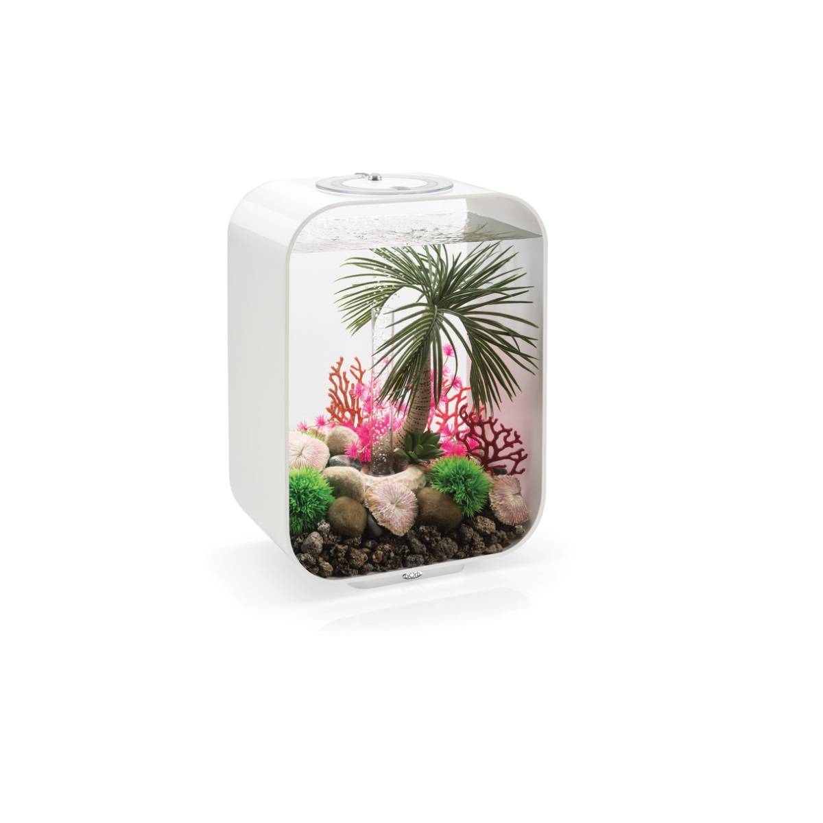 Aquarium intérieur Life 15 LED acrylique blanc L.29x l.19.3x H.40.7 cm - Oase sa - Image 6