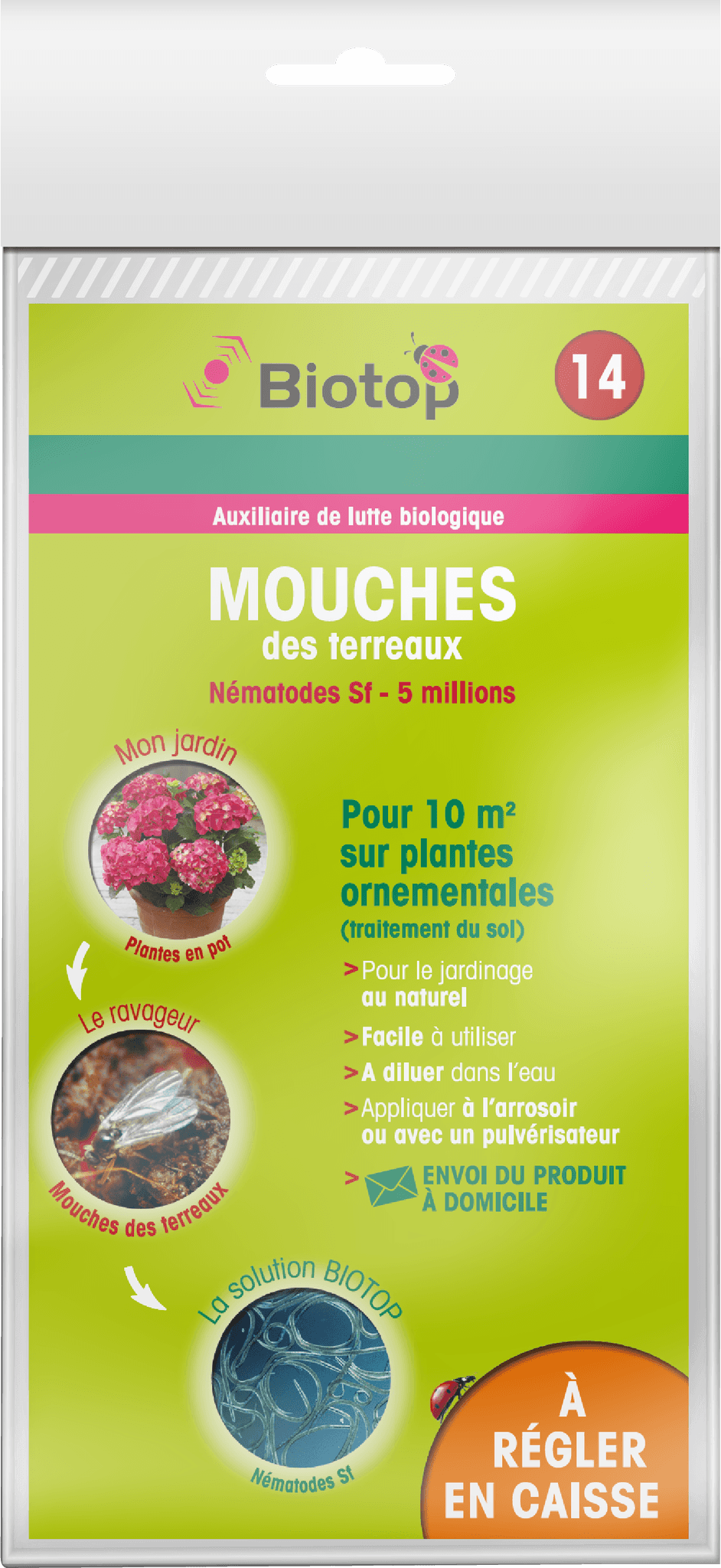 Biotop - Prépayé nématodes anti-mouches du terreau Sf 5 millions - Imagen 3