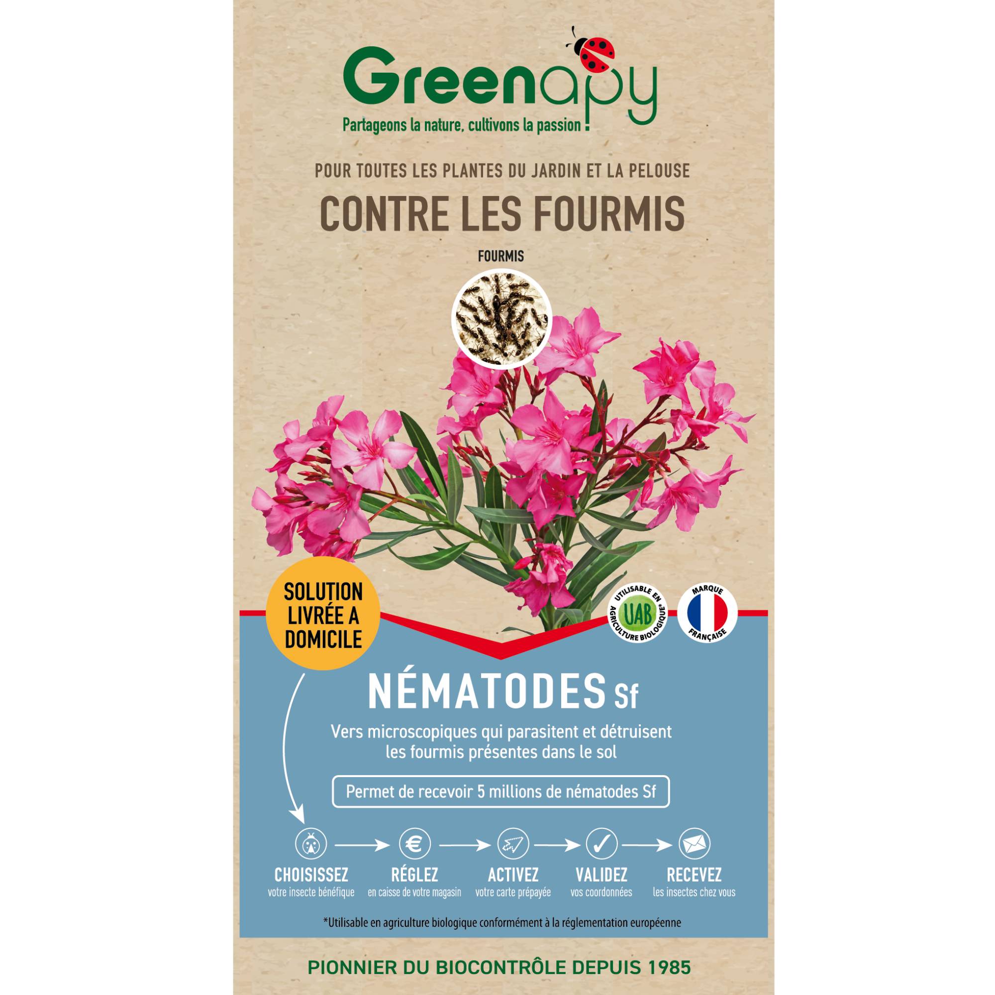 Prépayé nématodes anti-fourmis Sf 5 millions - Biotop - Image 1