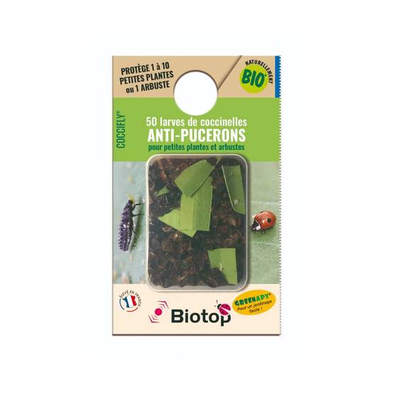 Biotop - Coccinelles adultes Coccifly anti pucerons x20 - Image 5