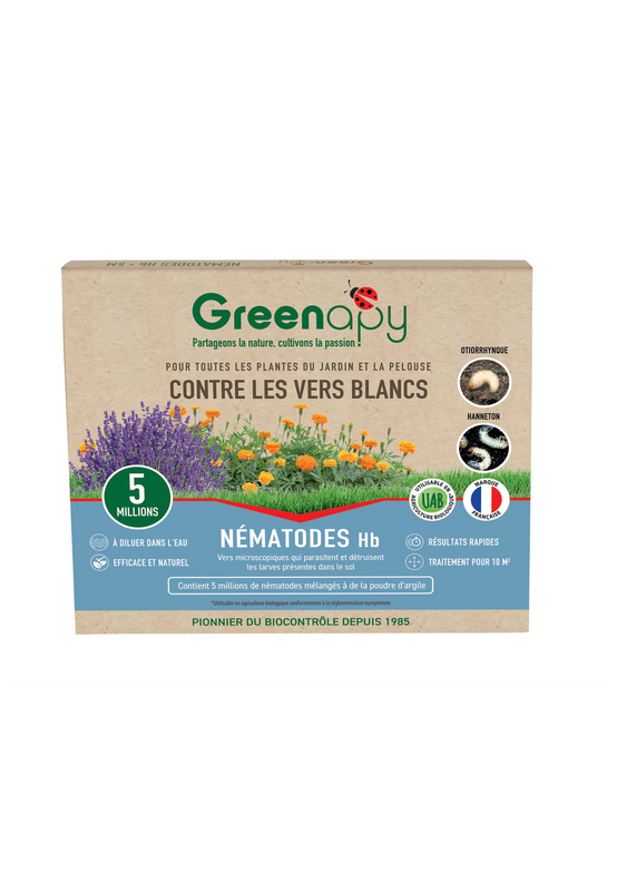 Greenapy - Nématodes anti vers blancs Heterorhabditis bacteriophora 1 boîte de 5 millions - Greenapy - Image 1