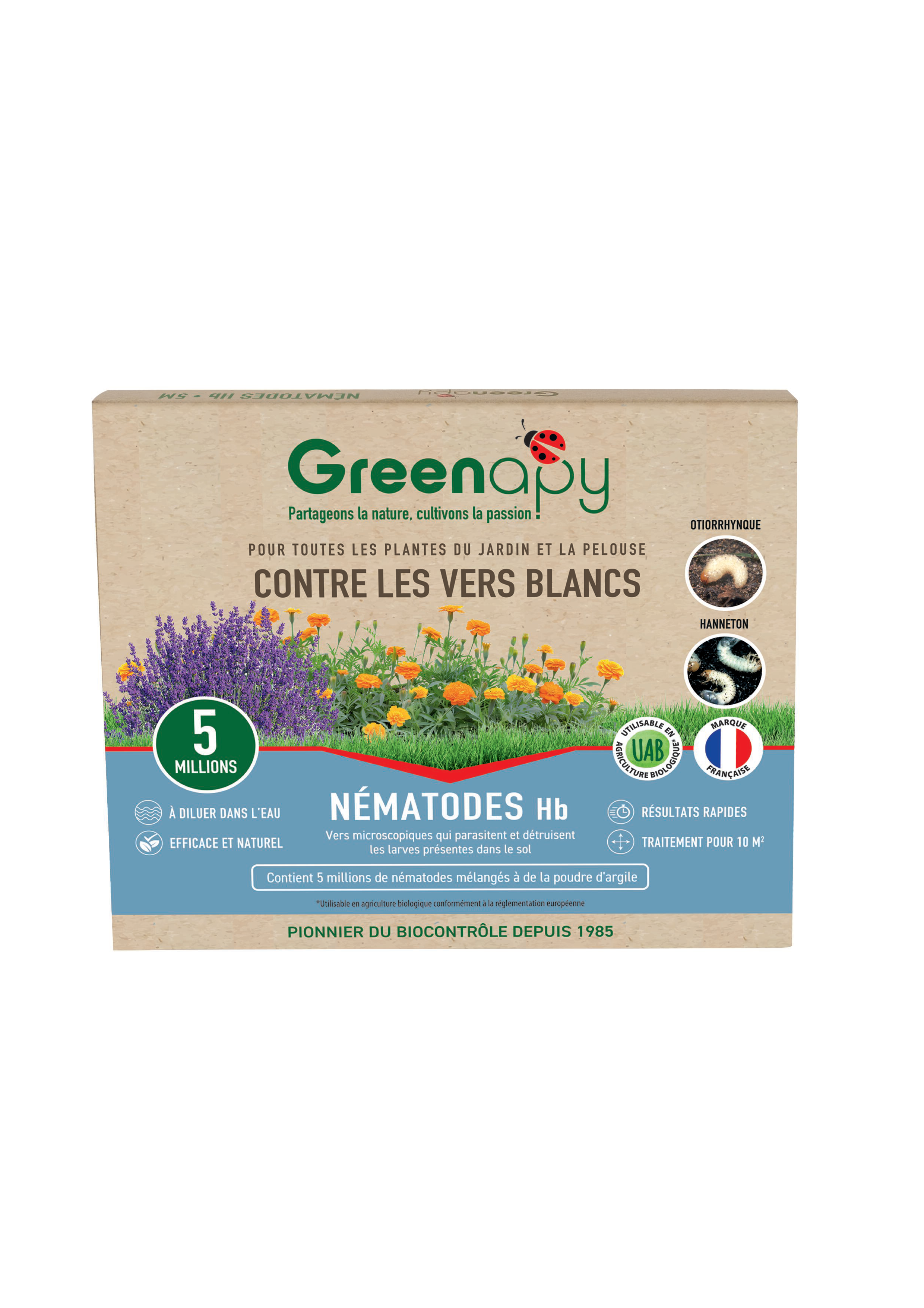 Greenapy - Nématodes anti vers blancs Heterorhabditis bacteriophora 1 boîte de 5 millions - Greenapy - Image 1