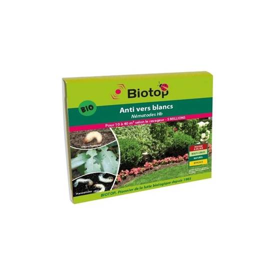 Greenapy - Nématodes anti vers blancs Heterorhabditis bacteriophora 1 boîte de 5 millions - Greenapy - Image 4