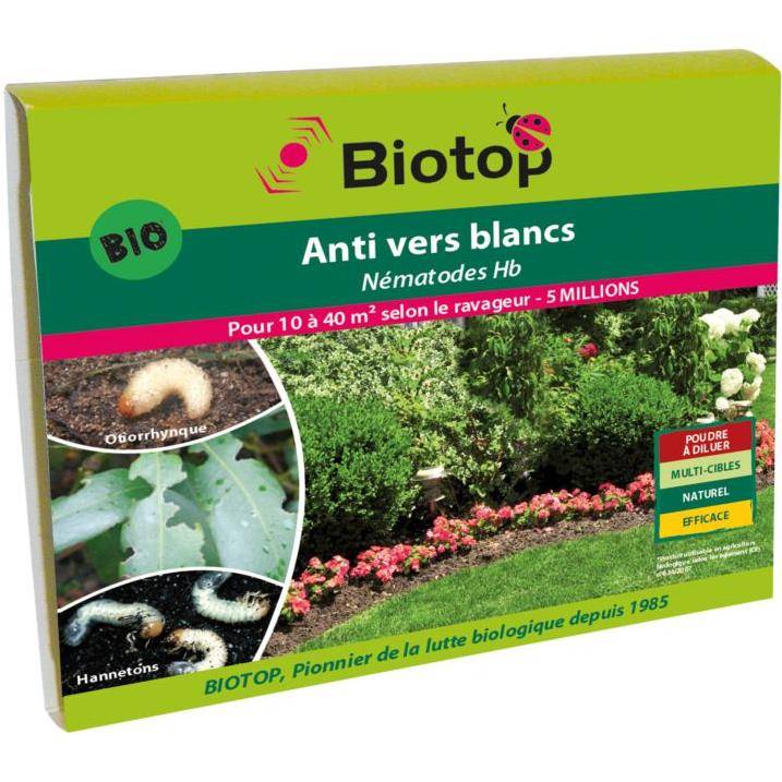 Greenapy - Nématodes anti vers blancs Heterorhabditis bacteriophora 1 boîte de 5 millions - Greenapy - Image 5