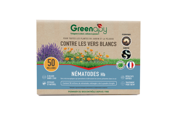 Greenapy - Nématodes anti vers blancs Heterorhabditis bacteriophora boîte de 50 millions - Greenapy - Image 1