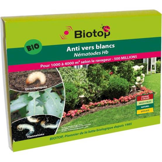 Greenapy - Nématodes anti vers blancs Heterorhabditis bacteriophora boîte de 50 millions - Greenapy - Image 5