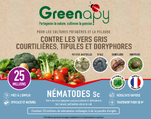 Greenapy - Nématodes anti vers gris et doryphores Steinernema carpocapsae boîte de 25 millions - Greenapy - Image 1