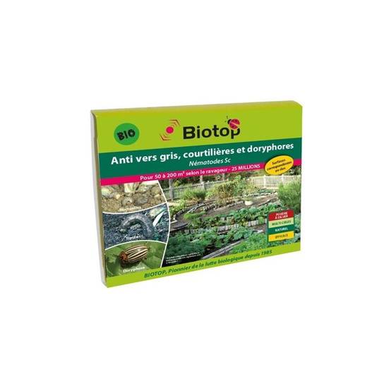 Greenapy - Nématodes anti vers gris et doryphores Steinernema carpocapsae boîte de 25 millions - Greenapy - Image 4